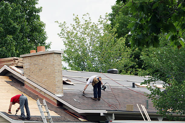 Quick and Trustworthy Emergency Roof Repair Services in Williamsburg, FL