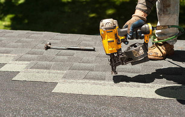 Best Storm Damage Roof Repair  in Williamsburg, FL